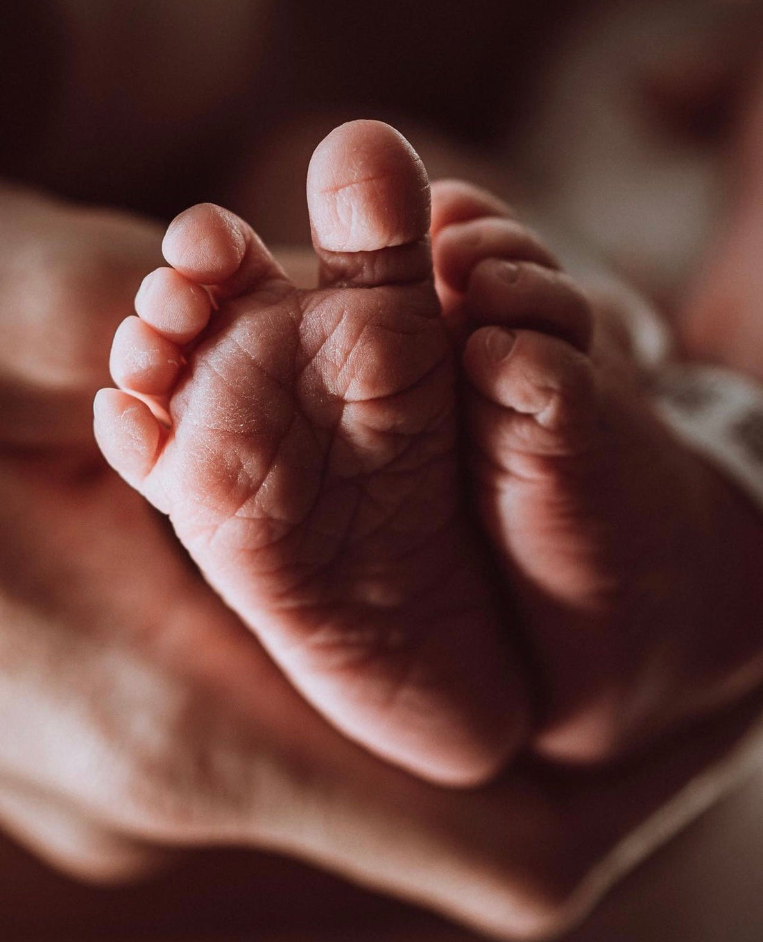 BARNMORSKA OCH DOULA - VAD ÄR SKILLNADEN?